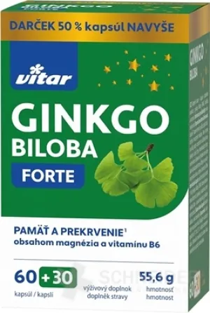 VITAR GINKGO BILOBA FORTE