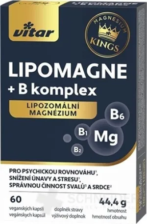 VITAR KINGS LIPOMAGNE + B-Komplex