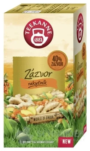 TEEKANNE WOG GINGER Sanddorn