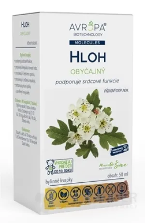 EUROPA HLOH
