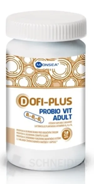 DOFI-PLUS PROBIO VIT B1, B2, B6 ERWACHSENE