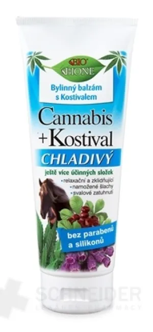 BC BIO Cannabis + Kostihoj Pferdebalsam Kühlend