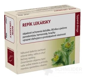 HANUS REPÍK SCHWIEGERARZT
