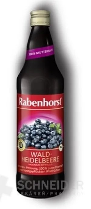 Rabenhorst Heidelbeersaft Bio