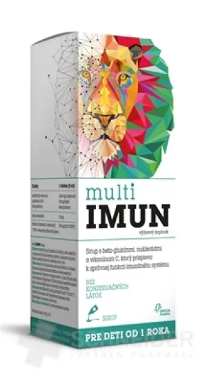 MultiIMUN SIRUP