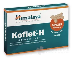 Himalaya Koflet-H Ingwer