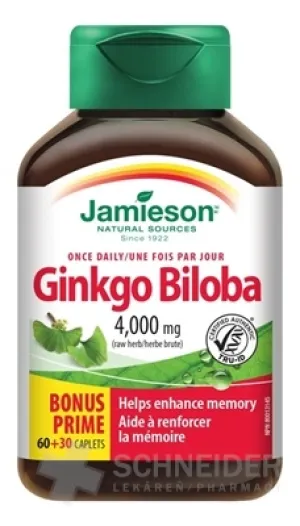 JAMIESON GINKGO BILOBA