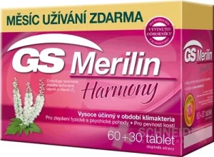 GS Merilin Harmonie