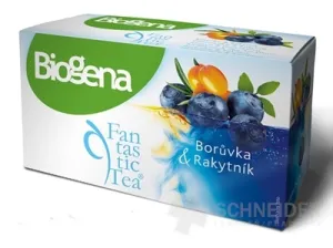 Biogena Fantastic Tea Blaubeere &amp; Sanddorn
