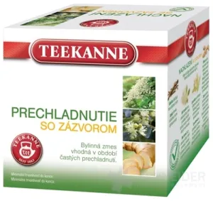 TEEKANNE KALT MIT INGWER - Dr.Max
