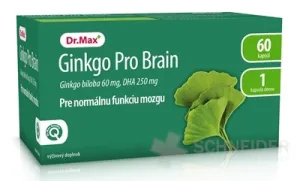 Dr.Max Ginkgo Pro Brain