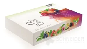 Biogena Fantastischer Tee Maxi