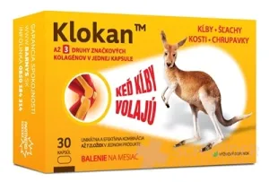 Känguru