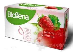 Biogena Fantastischer Tee Jahoda &amp; Ginkgo