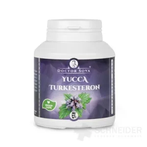 YUCCA TURKESTERON - Doktor Sova