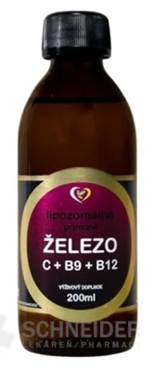 Healthy World Liposomales EISEN + C + B9 + B12