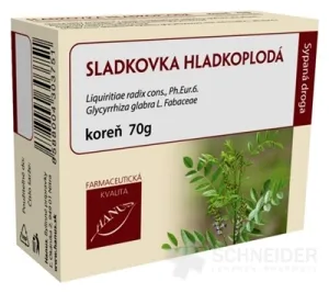 HANUS SLADOVKA GLATTE FRUCHTWURZEL