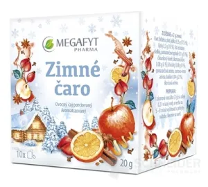 MEGAFYT Winterzauber