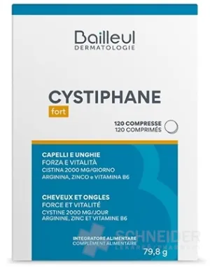 Festung CYSTIPHANE - Bailleul