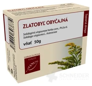 HANUS ZLATOBYĽ GEMEINSAME SCHWIEGER