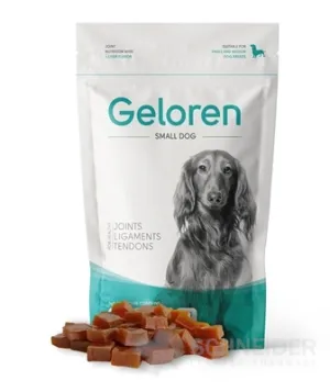 Geloren Kleiner HUND