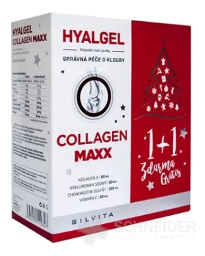 HYALGEL COLLAGEN MAXX Weihnachtsverpackung