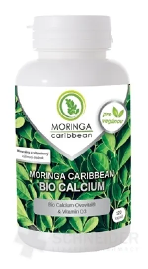 MORINGA Moringa Karibik BIO CALCIUM