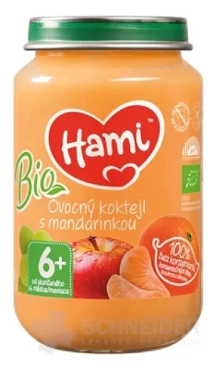 Hami-Fruchtbeilage BIO Fruchtcocktail