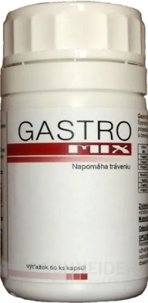 GASTRO-MIX