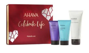 AHAVA Hands on Geschenkset 100/40/40 ml