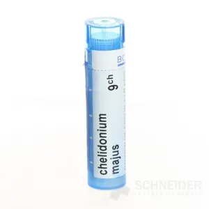 CHELIDONIUM MAJOR