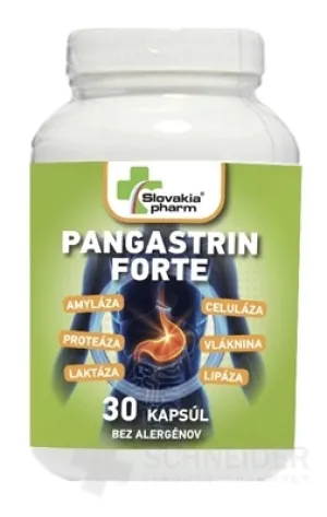 Slowakeipharm PANGASTRIN FORTE