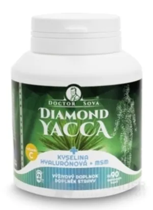 DIAMOND YACCA + Hyaluronsäure + MSM