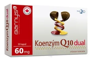 BARNY'S Coenzym Q10 dual 60 mg