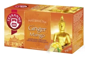TEEKANNE WST GINGER MANGO