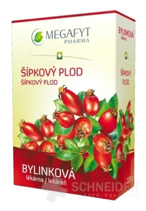 MEGAPHYTE BL PFEILFRUCHT