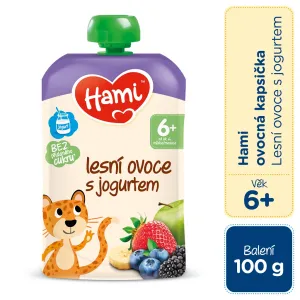 Hami Pocket Waldfrüchte mit Joghurt