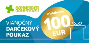 Weihnachtsgeschenkgutschein im Wert von 100 €