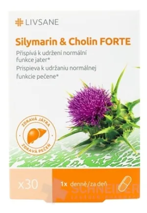 LIVSANE Silymarin a Cholin FORTE