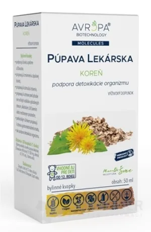 EUROPA LÖWENZAHN MEDIZINISCHE Wurzel