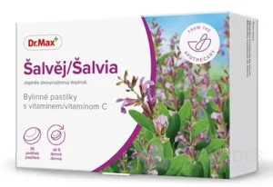 Dr. Max Salvia