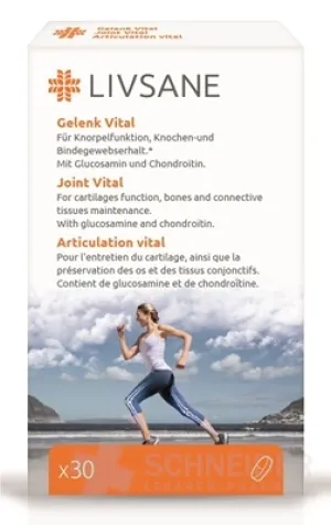 LIVSANE Unterstützung für gesunde Gelenke
