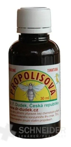 DR. DUDEK PROPOLIS-TINKTUR