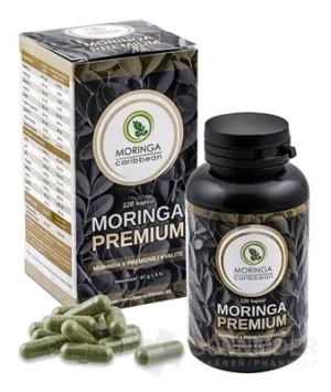 MORINGA Moringa Karibik PREMIUM