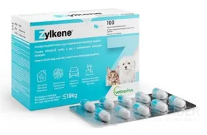 Zylken